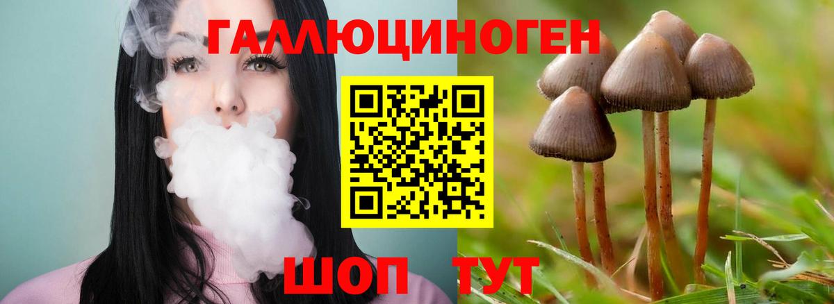 Ивантеевка  Псилоцибиновые грибы прущие грибы  Галлюциногенные грибы мухоморы  Вход с VPN 